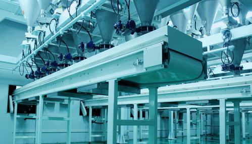 從生產到營銷 數字化如何保障寵物食品安全經營