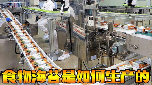 從海洋到餐桌 探秘韓國海苔工廠的自動化生產與國民美食之旅